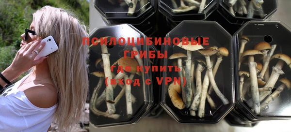 spice Балахна