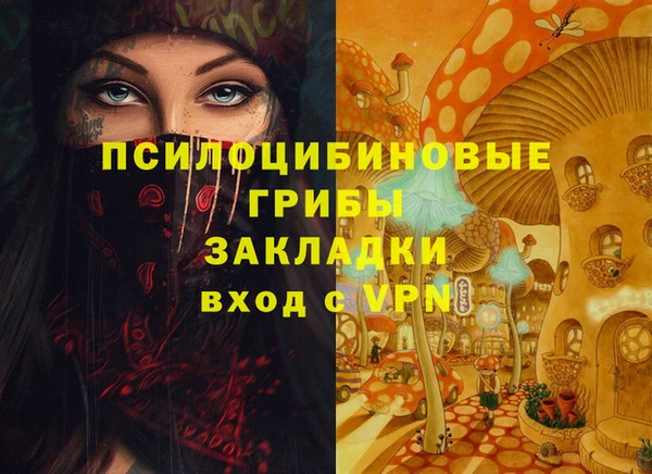 spice Балахна
