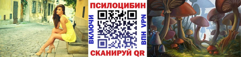 Псилоцибиновые грибы Cubensis  Ногинск 